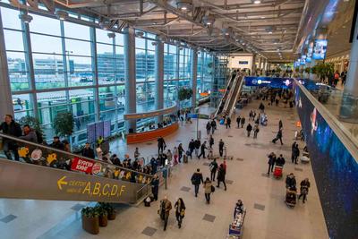 Аэропорт Домодедово, схема, терминалы с входами/выходами, регистрация в  аэропорту и зоны парковок