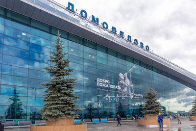 Домодедово (аэропорт) — Википедия
