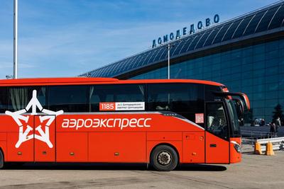 Аэропорт Домодедово работает штатно - РИА Новости, 19.12.2023
