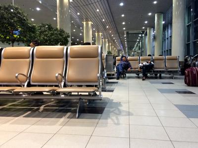 В аэропорту Домодедово открыли «зеленый коридор» для юных путешественников  - В регионе - РИАМО в Реутове