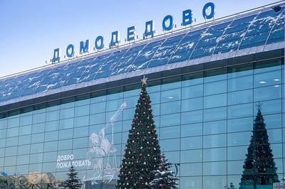 Аэропорт Домодедово — 33 фото