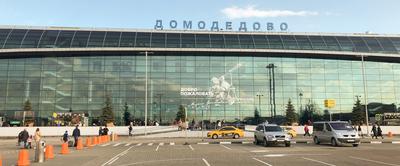 У аэропорта Домодедово будет парк развлечений - Российская газета