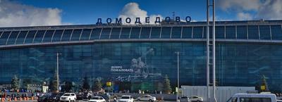Домодедово закрыло зону международных рейсов — РБК