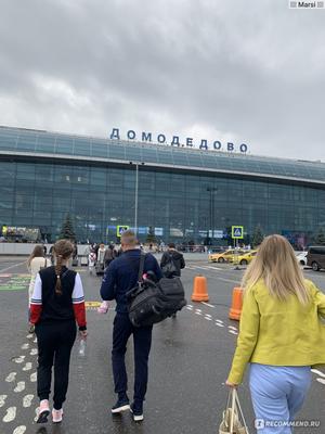 Аэропорт Домодедово, Москва - «✈️ Впечатления заядлого туриста о самом  большом аэропорте Москвы Домодедово ✈️ Что не нравится» | отзывы