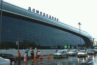 Схема аэропорта Домодедово | Турагентство Одиссея Рязань