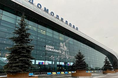Жуковский аэропорт: как добраться из Москвы на общественном транспорте —  Яндекс Путешествия