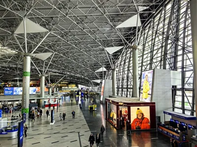 Три аэропорта Москвы временно ограничили работу - AviaPages.ru