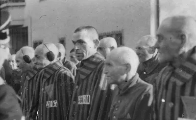 Как украинцы из дивизии Waffen-SS «Галичина» бежали от НКВД и укрылись в  Канаде