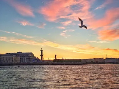 Фото Белые Ночи В Санкт Петербурге фотографии