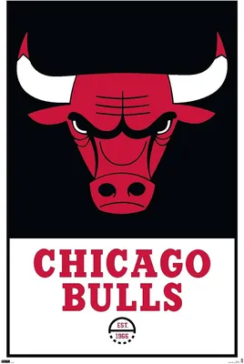 Chicago Bulls receive first-ever NBA Team Digital Content of the Year Award  | NBA.com