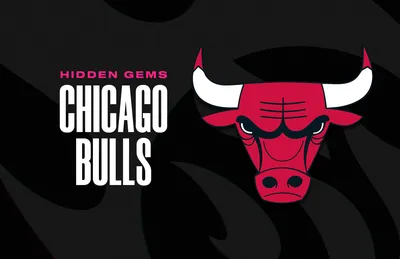 Hidden Gems: Chicago Bulls | NBA Top Shot Blog