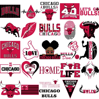 Chicago Bulls Pendant – The GLD Shop