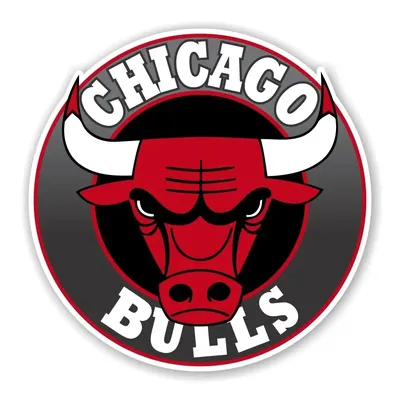 Chicago Bulls Round Decal / Sticker Die cut | eBay