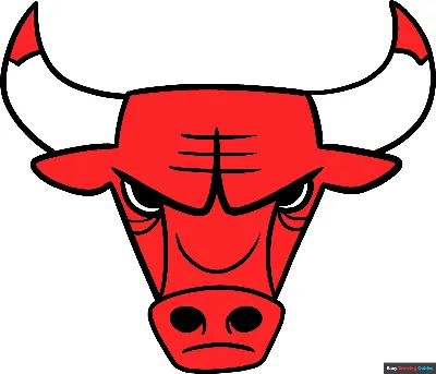 Chicago Bulls WinCraft Vertical Flag – Official Chicago Bulls Store