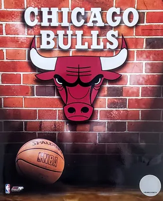 Chicago Bulls: Basketball - Modern Disc Wall Sign – Fathead
