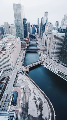 Чикаго, США: Небоскребы и офисные здания в городском Чикаго Редакционное  Фотография - изображение насчитывающей положения, америка: 100519002