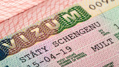 Типы шенгенских виз: условия получения, срок действия, правило 90/180