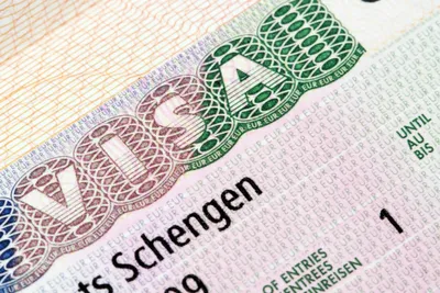 Посольство Германии в Москве - Deutsche Botschaft Moskau - Продолжаем нашу  рубрику \"Важные факты о визе в Германию\". Сегодня рассказываем о том, как  заполнить анкету. Необходимый документ для получения Шенгенской визы –