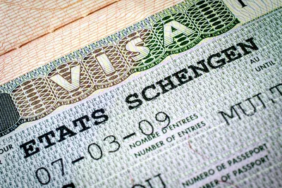 Шенгенскую визу в Германию легче всего оформить белорусам - Новости  Беларуси - Хартия'97