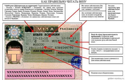 Шенгенской визы в паспорте. В соответствии с посольством франции. Стоковое  Фото - изображение насчитывающей зарубежом, деньги: 208547594