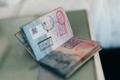 Виза в США | Сервис по проверке статуса визы и готовности паспорта к выдаче