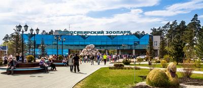 Где находятся достопримечательности в Новосибирске?