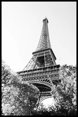 Фото эйфелевой башни черно белое