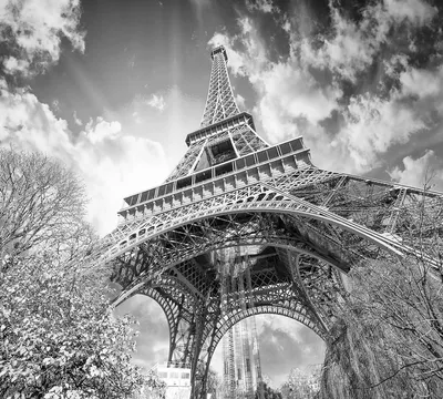 Эйфелева башня в черно-белом, Париж стоковое фото ©kevers 6924940