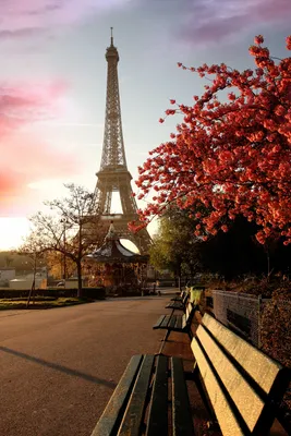 Красивый парк на фоне Эйфелевой башни - обои для рабочего стола, картинки,  фото