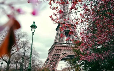 Картинки фрагмент эйфелевой башни, фонарь, деревья, красные листья, осень в  париже - обои 2560x1600, картинка №115097