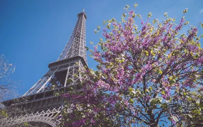 Эйфелева башня в Париже – факты, описание, фото, история