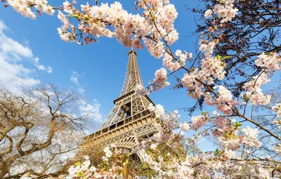 Весна в Париже Эйфелева башня Стоковое Изображение - изображение  насчитывающей вал, зеленый: 147141251