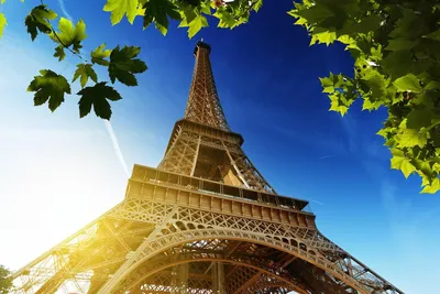 Конструктор 3D Wange Эйфелева башня в Париже, Франция The Eiffel Tower of  Paris Space2040 (5217)