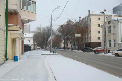 Школьники Екатеринбурга сделали сувениры из елей, который росли возле мэрии  - «Уральский рабочий»