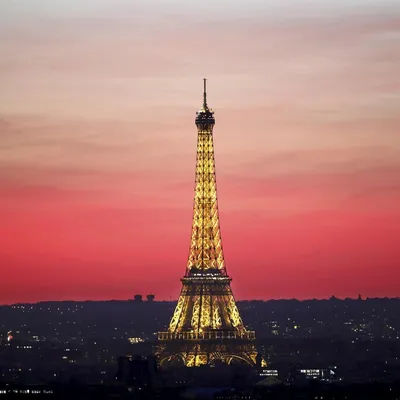 Красивая Фотография Эйфелевой Башни В Париже С Великолепными Цветами И  Широкоугольной Центральной Перспективой. Фотография, картинки, изображения  и сток-фотография без роялти. Image 3724110
