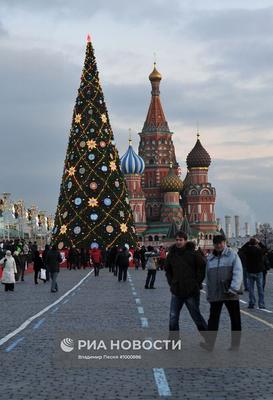 Новогодние елки в Москве | РИА Новости Медиабанк