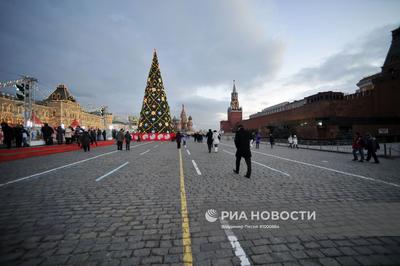 Обзорная автобусная экскурсия по Москве Елки Москвы - цены, отзывы,  расписание - заказать билеты онлайн на visotatour.ru