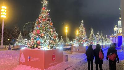 Новогодние елки в Москве | РИА Новости Медиабанк