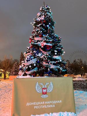 Лучшие новогодние елки Москвы