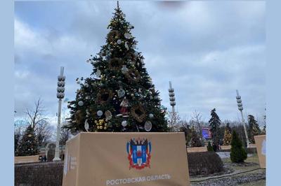 Лучшие новогодние елки Москвы и Подмосковья для детей