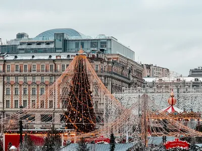 Где искать самые необычные и красивые новогодние елки в Москве |  Дегустаторы путешествий | Дзен