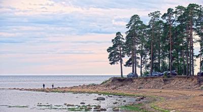 ТОП-7 мест в окрестностях Петербурга с живописным видом на Финский залив