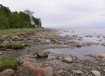 Опасные изумрудные волны. Финский залив позеленел вслед за петербургскими  реками и прудами - 28 августа 2018 - ФОНТАНКА.ру