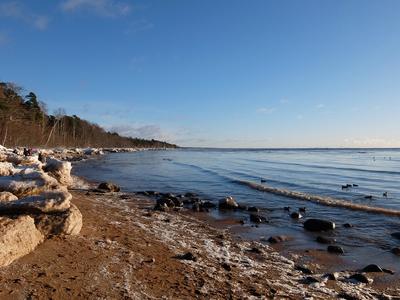 К концу века Финский залив отступит на 200 метров. Рассказываем, что это  значит для Петербурга | Sobaka.ru