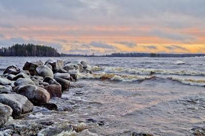 Финский залив | Интересные места | Фотогалерея | Окрестности Петербурга