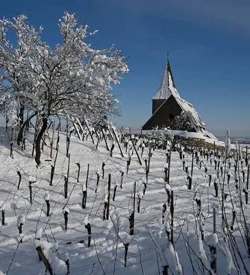 Зимой во Францию: Альпы или Эльзас? | Туристический бизнес Санкт-Петербурга
