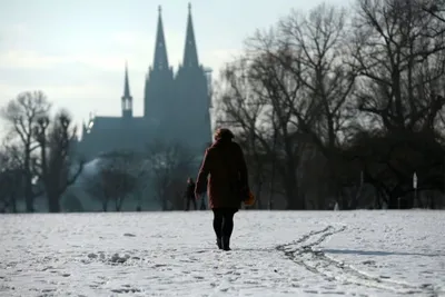 Зимнее лето или летняя зима ? Погода сошла с ума в Германии. | PRITHVI |  Дзен