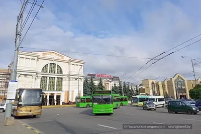 Фотофакт: посмотрите, как во время паводка выглядит набережная в Гомеле