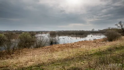 Как выглядит спутник Гомеля – поселок Ченки, где собираются построить 17  многоэтажек — последние Новости на Realt