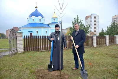 При ремонте знаковой улицы Бобруйска открылась старая брусчатка |  bobruisk.ru